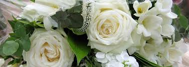 Image result for Weslyn Green 1933 Studebaker