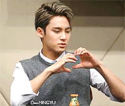 Https Encrypted Tbn0 Gstatic Com Images Q Tbn And9gcrynj6ltmh6bzoujdxbrlwinxswufxovaaana Usqp Cau