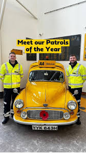 Image result for Yellow 2004 AA