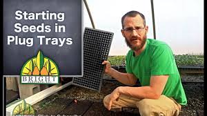 We did not find results for: Starting Seeds In Plug Trays Youtube