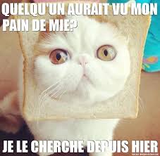 Epingle Sur Citations Drole