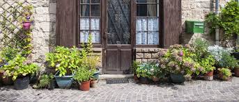 You can have the same rattan as her or you can get one from any other country around the globe. Front Door Plants You Can T Kill Potted Plants That Are Easy To Grow