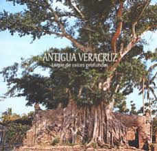 ANTIGUA VERACRUZ LUGAR DE RAICES PROFUNDAS. ADEL BUZALI. 9786077874263