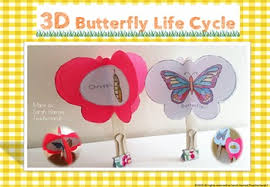 Download Butterfly Life Cycle Craft Activity 3d By Teacher Sarah S Classroom