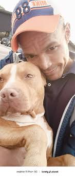 Bellos gatitos fueron encontrados 🆘🐾🐱🐈🐾🆘. . Información en las  imágenes 🐈🐱❤️💞