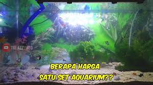 Cara merawat ikan hias di aquarium kecil tidaklah susah hanya saja dibutuhkan pemahaman khusus mengenai karakter atau sifat ikan dan jenis i. Harga Aquarium Ikan Hias Satu Set Ukuran 75x40x40 Youtube