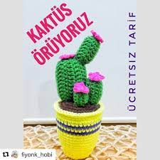 Repost Fiyonk Hobi With Get Repost Kaktus Oruyoruz Sonunda Tarifi Hazirlayabilirim Biraz Usengec Isi Oldu Elle Kaktus Amigurumi Fiyonklar