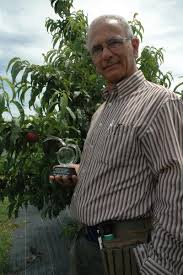 David r carroll is a general surgery specialist in jackson, mississippi. David Byrne Receives National 2013 Carroll R Miller Award For Peach Research Eurekalert Science News