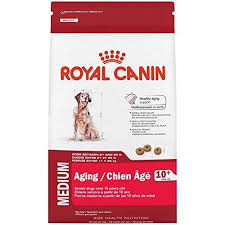 Https Topdogtips Com Best Dog Food For Springer Spaniels Best Dog Food Dry Dog Food Dog Food Recipes