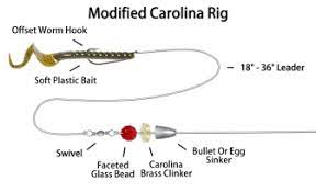 Rigs Fishing Rigs Fish