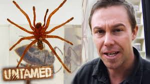 Scariest Wildlife Encounters 😵 The Wildlife of Tim Faulkner