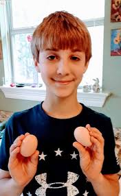 eggs Which type of egg you consume