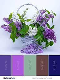 Pin On Colors