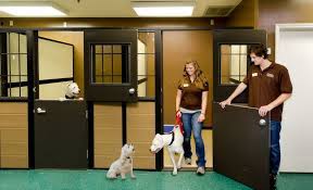 We did not find results for: Luxury Suites Contemporary Style Masonco Dog Boarding Facility Dog Boarding Kennels Dog Hotel