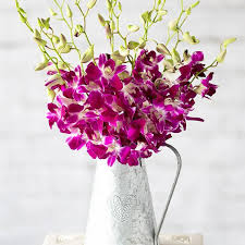 From you flowers customer service phone number. Flower Delivery Bunches