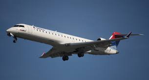 Delta Airlines Emotional Support Animals Policy