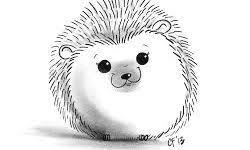 Erizo A Lapiz Sin Color Brisa Erizo A Lapiz Sin Color Brisa Erizo Lapiz Color Hedgehog Drawing Animal Drawings Art Drawings Sketches