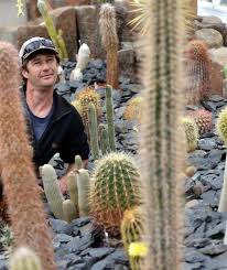 Peyote, san pedro and all the information about the best mescaline cactus. Garden Theft Believed To Be By Drug Seekers Otago Daily Times Online News