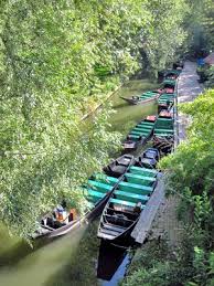 Visite Guidee Des Hortillonnages D Amiens En Barque A Cornets Visiter Amiens Visite Guidee Amiens