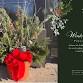 Build you own Holiday Porch Pot (Standard) event in South Barrington, IL