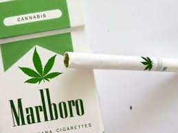 Order cheap marlboro cigarettes for best prices at canadacigarettes.org. Here S What It Will Take For The Marlboro Of Marijuana To Emerge