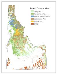 Fig trees (ficus carica) are mediterranean shrubs that grow to be between 15 and 30 feet high. Forest Types In Idaho Idaho Forests Products Commission