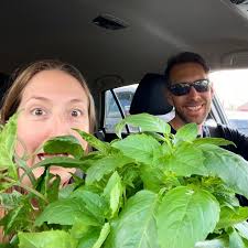 Does anyone know what I can make with cinnamon basil? We got a free plant  from Lowe's but I have no idea what to do with that kind of basil.. you do