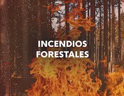 Los cigarros son una de las causas de incendios forestales que una persona puede cometer por en lo que va de este año, existen 8 registros de incendio forestal, todos ellos provocados de forma. Incendios Forestales Projects Photos Videos Logos Illustrations And Branding On Behance