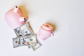 We did not find results for: Photo Piggy Bank Dollars Paper Money Money Gray Background
