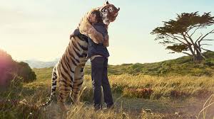 Find a safe, clawless way to hug your cat today, and every day. Hug Your Cat Day June 4 Keepin Calendar