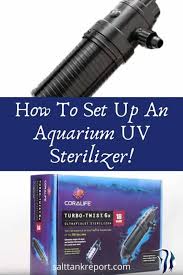 How To Set Up An Aquarium Uv Sterilizer In 2020 Saltwater Tank Aquarium Saltwater Aquarium
