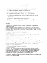 Check spelling or type a new query. Soal Essay Tentang Sel Prokariotik Dan Eukariotik Masnurul