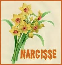 images?q=tbn:ANd9GcQodvhUqJJELWTZtSNR9ePBAq8fU7y9-Z3wNLCS213zGUFzzXwllg