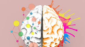 When Real Learning Happens in the Brain, According to Neuroscience | Inc.com