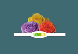Maybe you would like to learn more about one of these? Farm Fresh Flowers Home Facebook