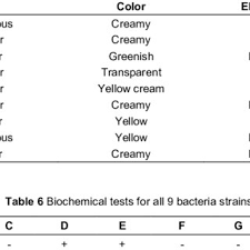 1210, 12th floor,, plaza taragon kelana,, no 3. Pdf Identification And Characterization Of Potential Compost Degrading Bacteria From Agro Waste