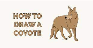 We did not find results for: How To Draw A Coyote Really Easy Drawing Tutorial