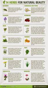 10 Easy To Grow Medicinal Herbs For Herbal Remedies Natural Beauty Remedies Beauty Remedies Diy Natural Products
