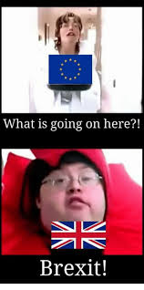 What Is Going On Here Brexit What Is Meme On Me Me