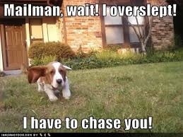 Mailman Funny Quotes Quotesgram