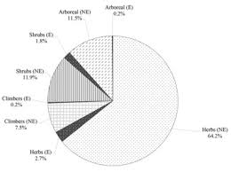 Image result for Pentarrhinum abyssinicum