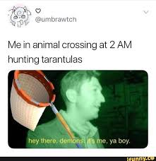Me In Animal Crossing At 2 Am Hunting Tarantulas Ifunny Animal Crossing Funny Animal Crossing Animal Crossing Game