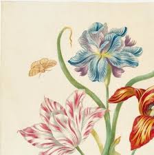 Check spelling or type a new query. 18 Contoh Gambar Flora Dan Fauna Simple Dan Mudah Broonet