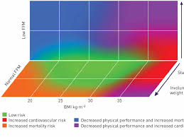 Nutritional Risk Stratification Diagram Ffm Fat Free Mass