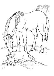Download and print these baby horse coloring pages for free. Coloring Pages Baby Horse With Mom Coloring Page