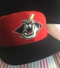 Pin Auf Minor League Baseball Hats
