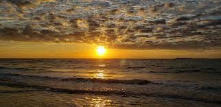 Many senior citizens find themselves in a position where they can't fully take care of themselves any longer, but they aren't in such shape that they need to move into a nursing home or have. Wellness Educator And Healthy Lifestyle Assistant Life Coach Charlotte Nc United States Phone Number