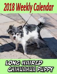 Share on facebook share on twitter. 2018 Weekly Calendar Long Haired Chihuahua Puppy Dog Quote Chihuahua Puppy Times Puppy 9781979807562 Amazon Com Books