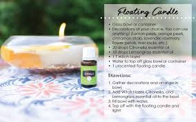 Compare prices & save money on candles & accessories. Diy Floating Citronella Candle Saving Dollars Sense