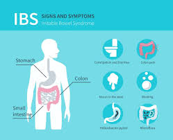 Seeing a dietitian for irritable bowel syndrome (ibs). Ibs Could Ultra Processed Foods Be The Culprit Gi Associates
